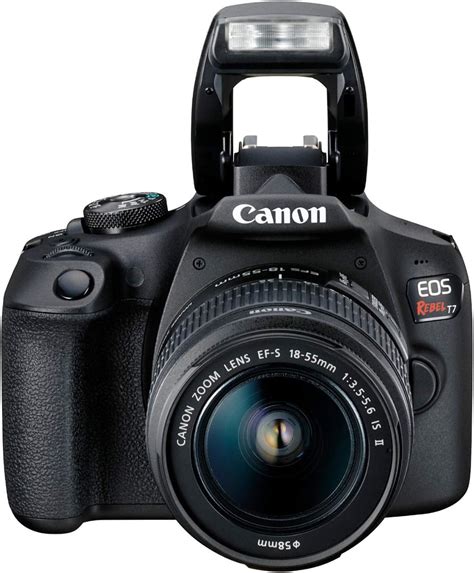 Canon EOS T7 Tutorial 的图像结果
