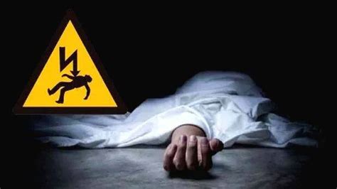 Electrocuted by wild boar trap; tragic death for class 10 student in ...