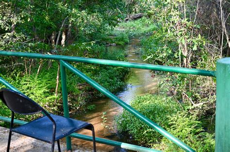 Best resort in Bandhavgarh - Review of MPT White Tiger Forest Lodge ...