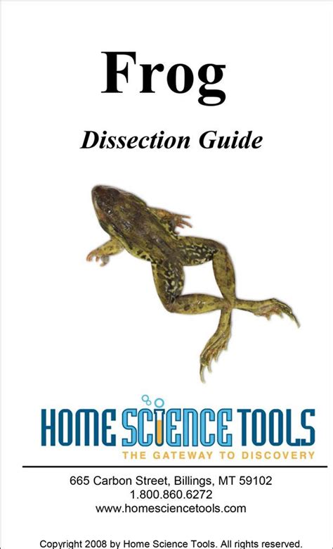 Frog Dissection Tutorial 的图像结果