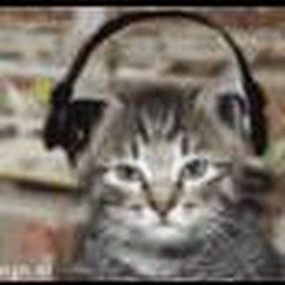 Image result for Cat Generator Control Module