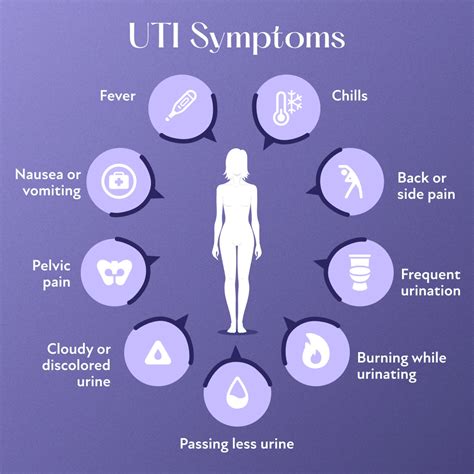 Menopause & UTIs: Causes, Symptoms, & Prevention