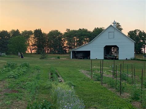 Farm Dream - Rural 1st