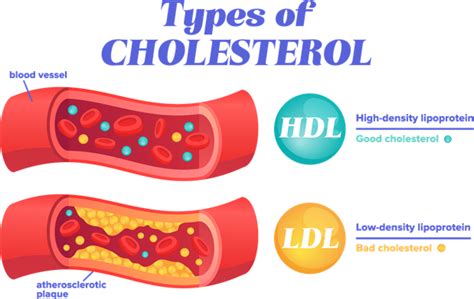 Heart disease — lesson. Science State Board, Class 10.