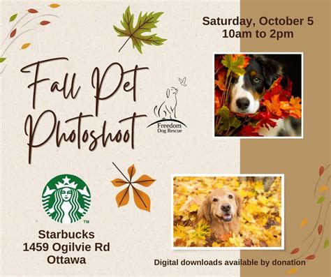 Fall Pet Photoshoot - Starbucks Ogilvie, Starbucks Canada (1459 Ogilvie ...