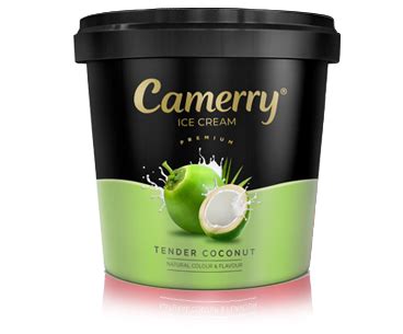 Camerry Family pack ice cream tubs at its best