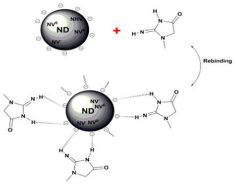 Molecularly Imprinted Polyacrylamide with Fluorescent Nanodiamond for ...