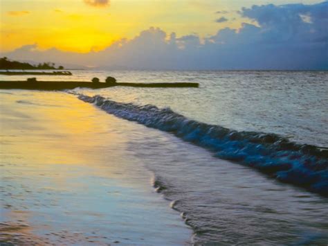 10 Things to Do in Montego Bay in September - Hellotickets