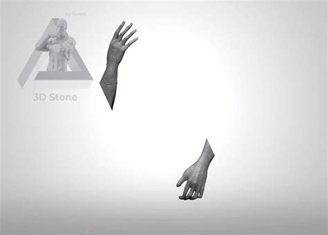 3D Kandiaru Solo Leveling Model - TurboSquid 2248246