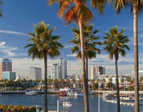 SCHOONER OR LATER, Long Beach - Menu, Prices & Restaurant Reviews ...