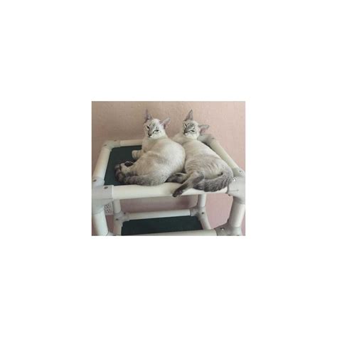 PVC Cat Tree 的图像结果