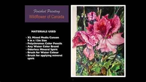 Image result for Polychromos Art Tutorials