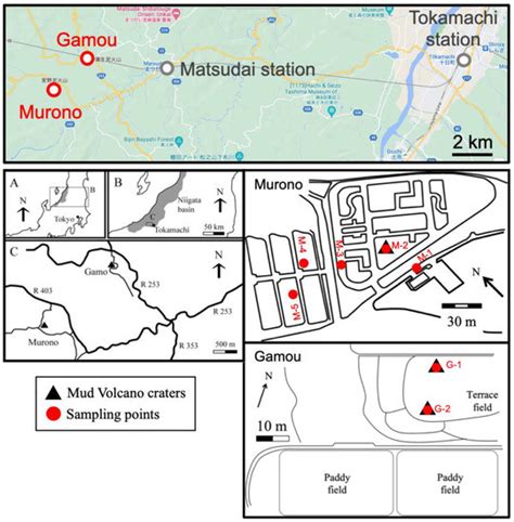Microorganisms | Special Issue : Petroleum Microbiology