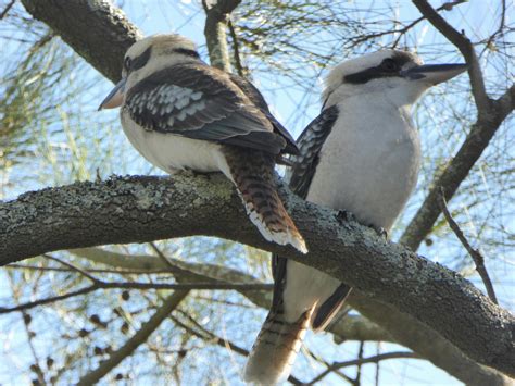 Arcadia Park - Visit Newcastle