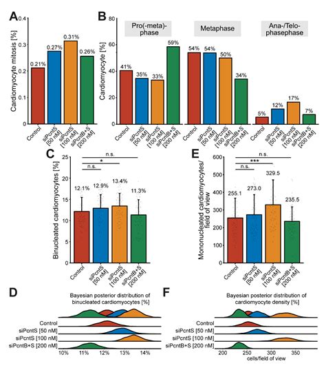 Alternative Splicing of Pericentrin Contributes to Cell Cycle Control ...