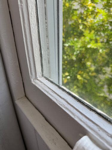 Image result for How to Restore Window Timber Frame