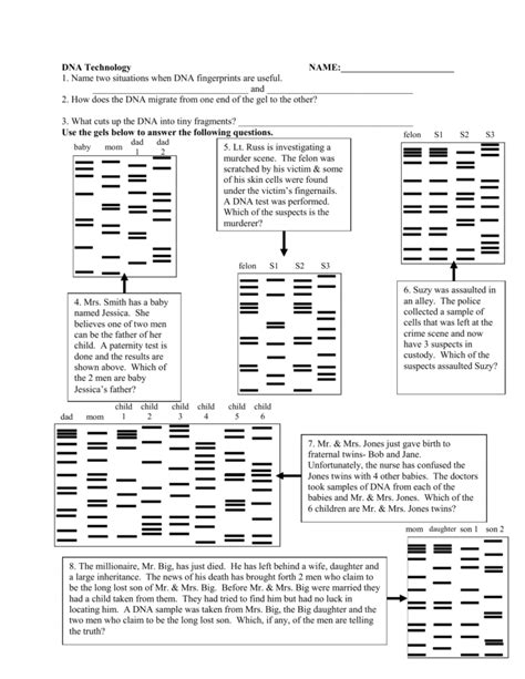Image result for DNA Fingerprinting Worksheet Back Answer Key