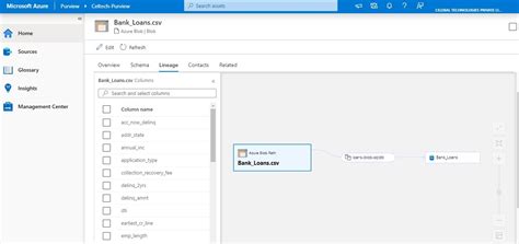 Azure Data Governance 的图像结果
