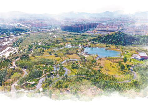 新一轮百万亩造林工程完工，京城五年添绿100个奥森_公园_北京_森林