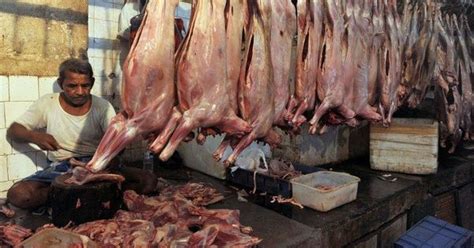 Uttar Pradesh slaughterhouse crackdown: Lessons from Mumbai as ...
