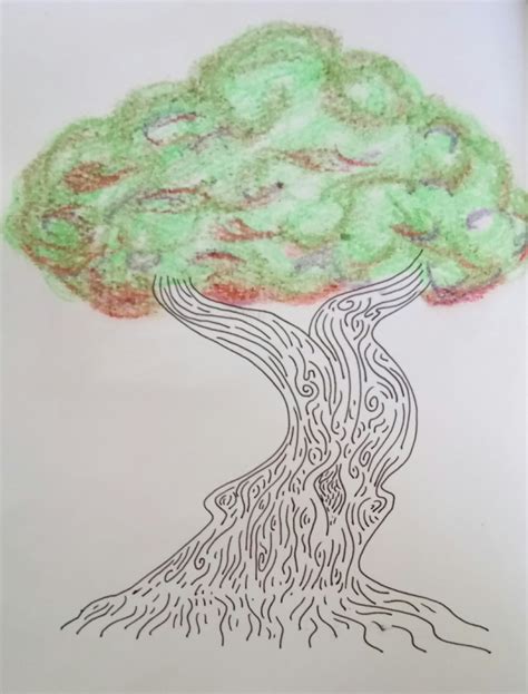 Image result for How to Draw Tree Trunks