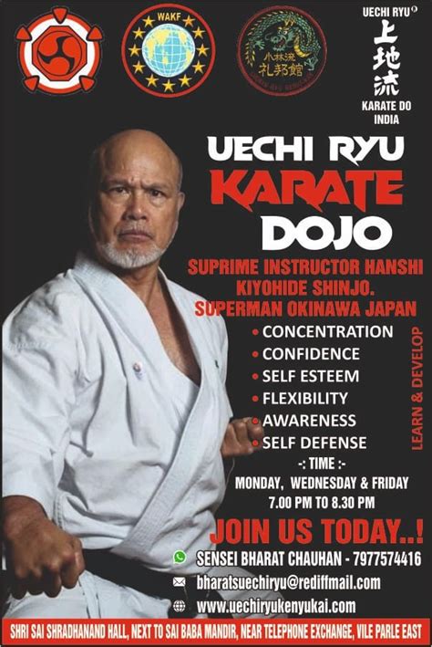 Uechi-Ryu Karate 的图像结果