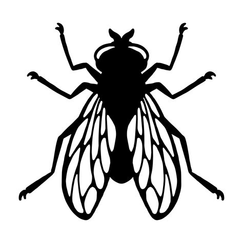 Clipart Of A Fly
