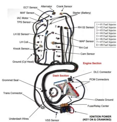 INTRODUCTION TO ELECTRONIC WIRING HARNESS
