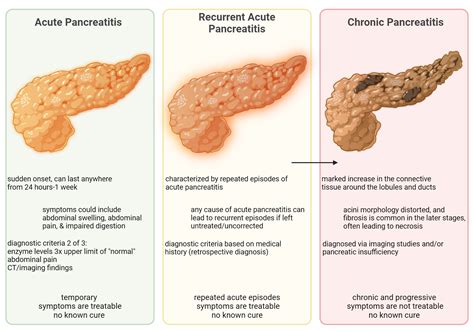 Pancreatitis When To Worry