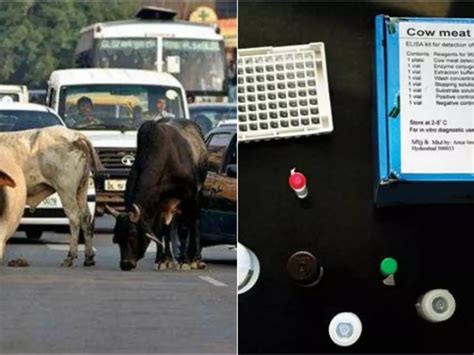 In Order To Contain Law And Order Issues, Maharashtra Police To Use Cow ...