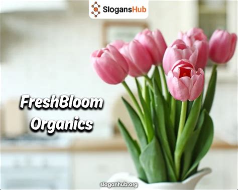 Small Business Names 的图像结果