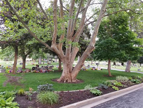 Centerville City Cemetery in Centerville, Utah - Find a Grave Cemetery