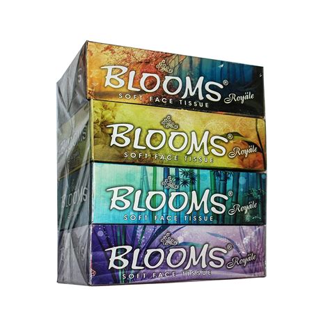 BLOOMS 2 Ply Face Tissue Box - 100 Pulls (Pack Of 4) : Amazon.in ...