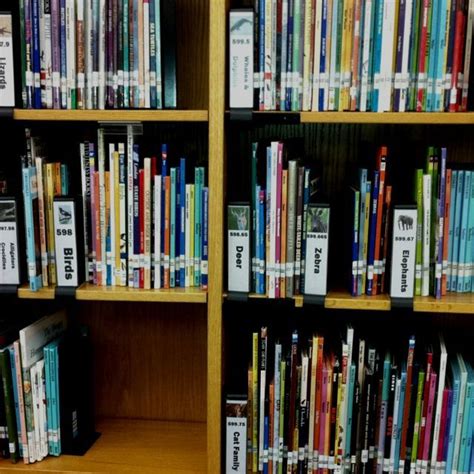 School library organization, Library organization, School library