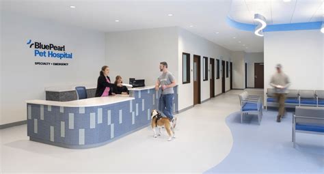 Blue Pearl Veterinary Partners - Wyomissing | Specialty & Emergency ...