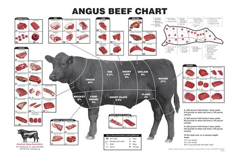 The Best Beef Cut Charts & Posters - Heatherlea Farm Shoppe
