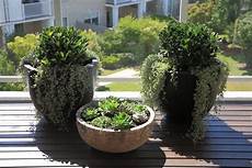 vasi per balcone vasi per balcone vasi per piante vasi per il terrazzo vasi per balcone vasi per balcone vasi per piante vasi per il terrazzo