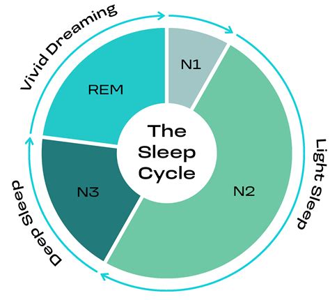 Understanding Sleep Cycles: How They Impact Your Sleep & Why Night Blend Makes a Difference