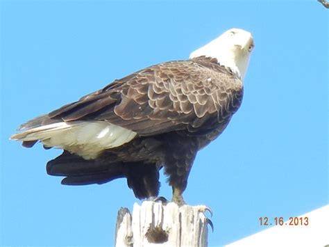 Gallery | Hardee County Property Appraiser