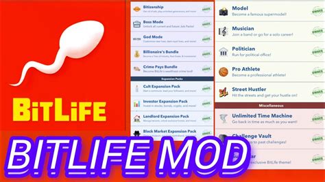 Image result for Bit Life Mod