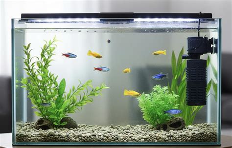 VATTARA Internal Aquarium Filter | 2000 L/H High Flow | 30W Power ...