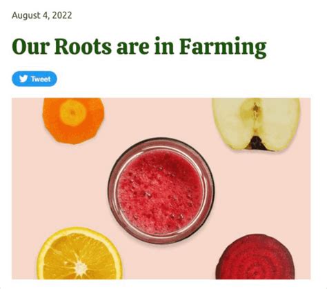 Image result for How to Create Auto Tweet Button