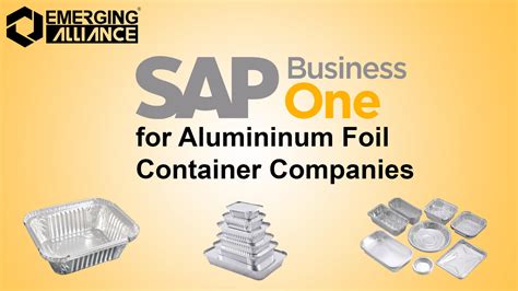 SAP Business One / SAP B1 ERP for Alumininum Foil Container Companies ...