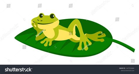 Image result for Funny Tree Frog