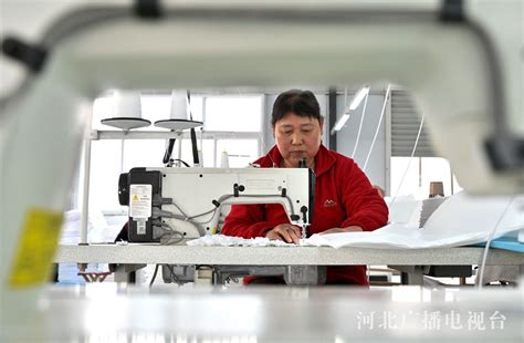 邯郸：“乡村微工厂”点亮留守妇女居家就业梦