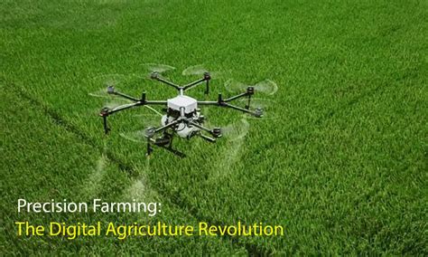 Precision Farming: How Technology is Transforming Agriculture