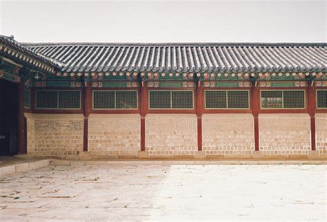 A Crane Among Wolves — June Hur