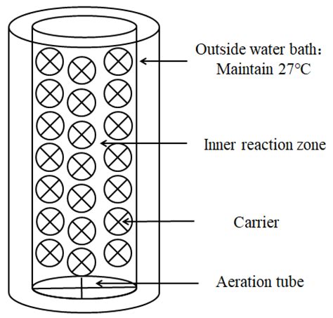 Innovative Coating–Etching Method of Biocarrier Fabrication for ...