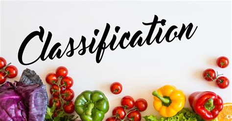 Vegetable Classification 的图像结果