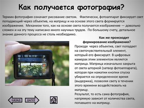Основы фотографии - презентация онлайн